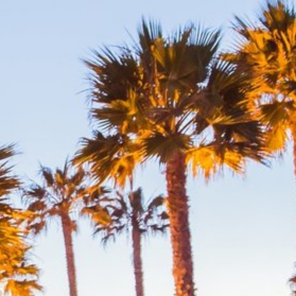 Meet your Posher, Kelley - Picture 1 of 1